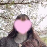 ヒメ日記 2025/04/11 13:00 投稿 アメリ いたずらバニーちゃん