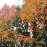 柏木　あいか ありがとうございました♡ スタイリッシュ秘書