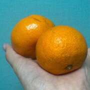 ヒメ日記 2024/12/21 00:17 投稿 こなんちゃん ChuChuバナナ