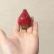 ヒメ日記 2025/04/07 15:21 投稿 こなんちゃん ChuChuバナナ