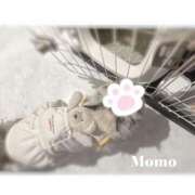 ヒメ日記 2025/01/12 16:55 投稿 もも CECIL