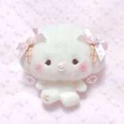 ヒメ日記 2025/07/22 01:15 投稿 もも CECIL