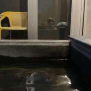 ヒメ日記 2025/08/16 23:55 投稿 もも CECIL