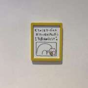 ヒメ日記 2025/09/08 05:55 投稿 もも CECIL