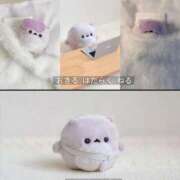 ヒメ日記 2025/10/07 23:46 投稿 もも CECIL