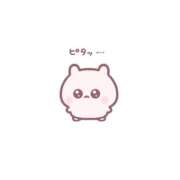 ヒメ日記 2025/10/27 22:51 投稿 もも CECIL