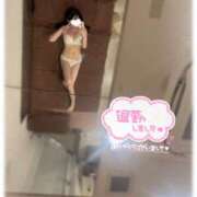 ヒメ日記 2025/11/14 19:00 投稿 もも CECIL