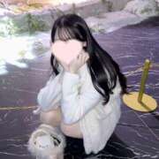 ヒメ日記 2025/11/28 23:39 投稿 もも CECIL