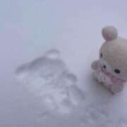 ヒメ日記 2025/12/17 05:53 投稿 もも CECIL