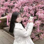 もも 🍑今日から🍡🌸 CECIL