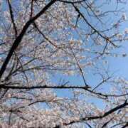 ヒメ日記 2026/03/30 07:03 投稿 もも CECIL