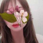 ヒメ日記 2025/05/03 10:30 投稿 さな 水戸人妻花壇