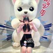 ヒメ日記 2025/03/10 07:32 投稿 もえ ジャパンクラブ富士