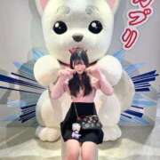 ヒメ日記 2025/08/24 09:42 投稿 もえ ジャパンクラブ富士