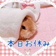 ヒメ日記 2025/01/17 07:00 投稿 一条あんり セクシーキャット 神田店