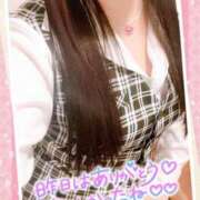 ヒメ日記 2025/02/25 07:00 投稿 一条あんり セクシーキャット 神田店