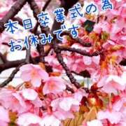 ヒメ日記 2025/03/19 08:00 投稿 一条あんり セクシーキャット 神田店