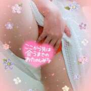 ヒメ日記 2025/04/01 07:30 投稿 一条あんり セクシーキャット 神田店