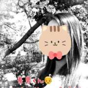 ヒメ日記 2025/04/09 16:58 投稿 一条あんり セクシーキャット 神田店