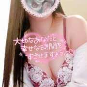 ヒメ日記 2025/04/13 13:26 投稿 一条あんり セクシーキャット 神田店