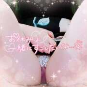 ヒメ日記 2025/05/04 07:30 投稿 一条あんり セクシーキャット 神田店