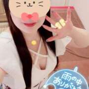 ヒメ日記 2025/06/12 07:30 投稿 一条あんり セクシーキャット 神田店