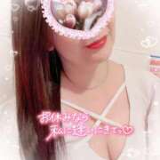 ヒメ日記 2025/06/14 07:51 投稿 一条あんり セクシーキャット 神田店