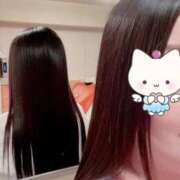 ヒメ日記 2025/06/30 07:45 投稿 一条あんり セクシーキャット 神田店