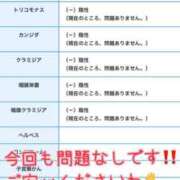 ヒメ日記 2025/07/20 09:30 投稿 一条あんり セクシーキャット 神田店