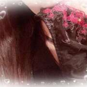 ヒメ日記 2025/07/27 08:00 投稿 一条あんり セクシーキャット 神田店