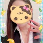 ヒメ日記 2025/11/03 20:15 投稿 一条あんり セクシーキャット 神田店