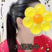 ヒメ日記 2025/12/14 10:16 投稿 一条あんり セクシーキャット 神田店