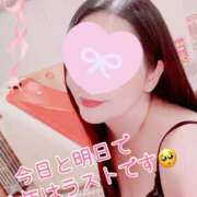 ヒメ日記 2025/12/28 08:00 投稿 一条あんり セクシーキャット 神田店