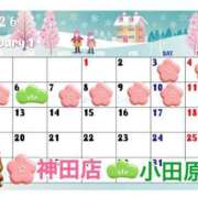 ヒメ日記 2026/01/03 07:45 投稿 一条あんり セクシーキャット 神田店