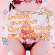 ヒメ日記 2026/01/07 07:30 投稿 一条あんり セクシーキャット 神田店