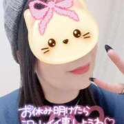 一条あんり お久しぶりです♡ セクシーキャット 神田店