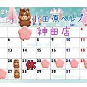 一条あんり ☆復帰日決まりましたー☆ セクシーキャット 神田店