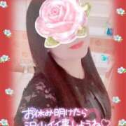 ヒメ日記 2026/02/15 13:13 投稿 一条あんり セクシーキャット 神田店