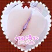 ヒメ日記 2026/02/19 07:31 投稿 一条あんり セクシーキャット 神田店