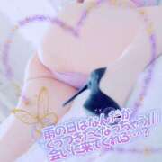 ヒメ日記 2026/02/25 07:45 投稿 一条あんり セクシーキャット 神田店