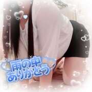 ヒメ日記 2026/02/26 07:45 投稿 一条あんり セクシーキャット 神田店