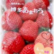 ヒメ日記 2026/03/10 07:30 投稿 一条あんり セクシーキャット 神田店