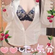 ヒメ日記 2026/10/02 07:45 投稿 一条あんり セクシーキャット 神田店