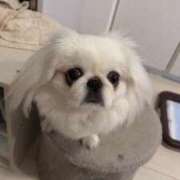 ヒメ日記 2025/08/16 17:28 投稿 なつき ジャパンクラブ富士