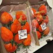 ヒメ日記 2025/02/10 07:04 投稿 きらら 泡の伝道師