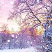 ヒメ日記 2025/02/25 12:05 投稿 きらら 泡の伝道師