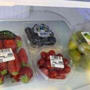 ヒメ日記 2025/03/30 12:06 投稿 きらら 泡の伝道師