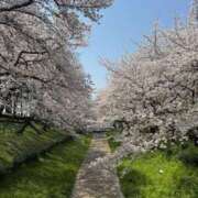 ヒメ日記 2025/04/18 10:04 投稿 きらら 泡の伝道師