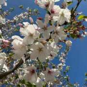 ヒメ日記 2025/04/19 06:14 投稿 きらら 泡の伝道師