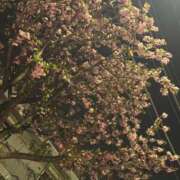 ヒメ日記 2025/04/28 17:05 投稿 きらら 泡の伝道師